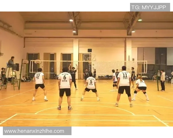 聚焦排球：探讨成都排球队默契配合与战术执行的成功之道